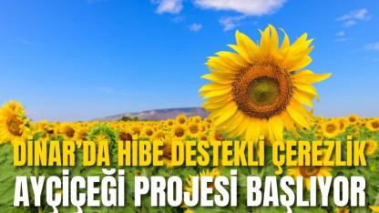 Dinar’da Hibe Destekli Çerezlik Ayçiçeği Projesi Başlıyor