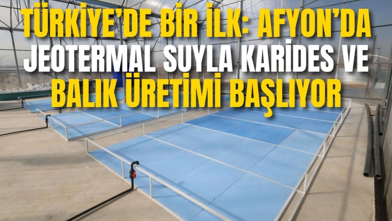 Türkiye’de Bir İlk: Afyon’da Jeotermal Suyla Karides ve Balık Üretimi Başlıyor