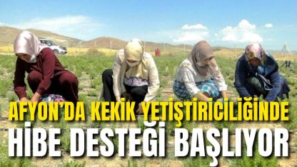 Afyon’da Kekik Yetiştiriciliğinde Hibe Desteği Başlıyor