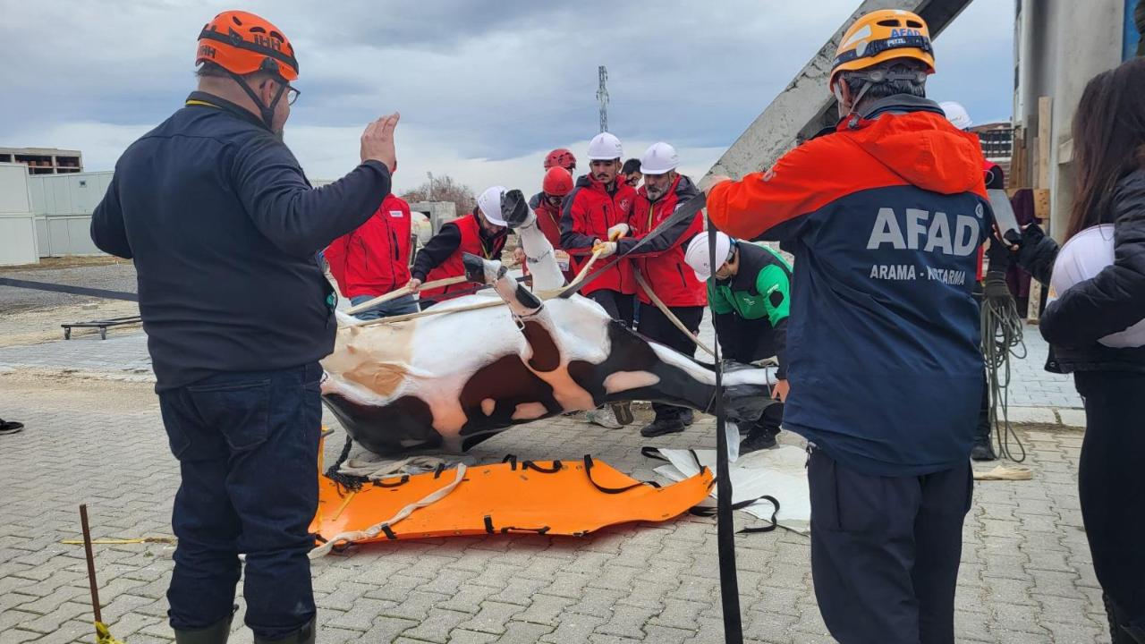 Afyon’da Hayvan Arama Kurtarma Projesi İspanya-Türkiye İş Birliğiyle Sürüyor