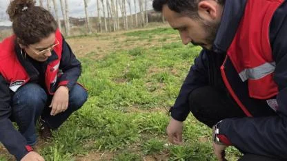 Afyon’da Tarlalar Mercek Altında: Hububat ve Haşhaşta Kritik Kontrol