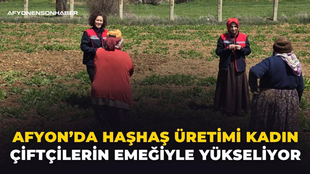 Afyon’da Haşhaş Üretimi Kadın Çiftçilerin Emeğiyle Yükseliyor