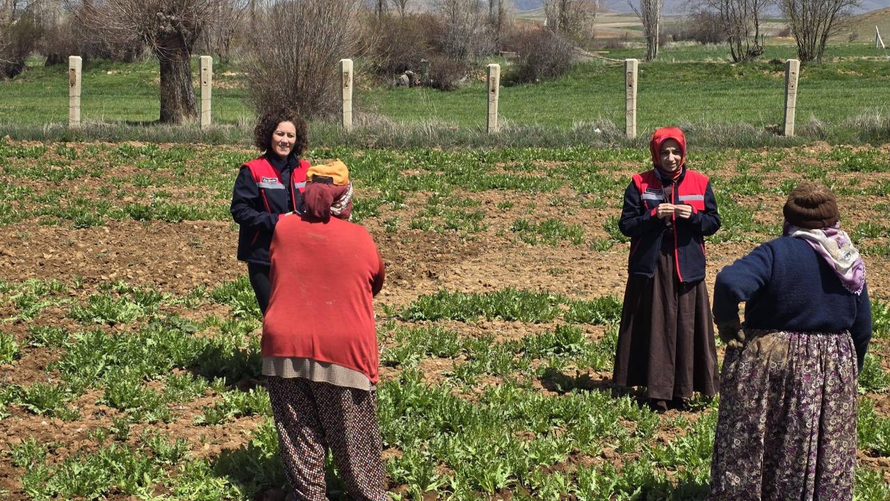 Afyon’da Haşhaş Üretimi Kadın Çiftçilerin Emeğiyle Yükseliyor