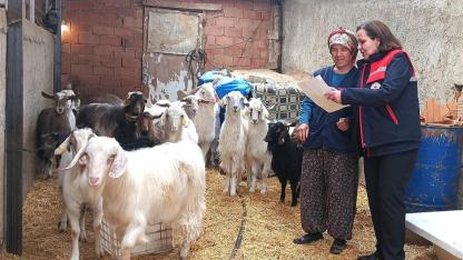 Afyon’da Hayvancılıkta Rehberlik ve Denetim Bir Arada