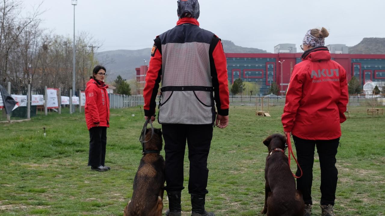 Afyon’da Nefes Kesen Arama Köpekleri Sınavı: 3 Ülkeden 36 Köpek Yarıştı