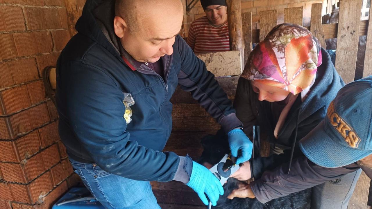 Afyon’da Veba ve Çiçeğe Karşı Sahada Yoğun Mesai