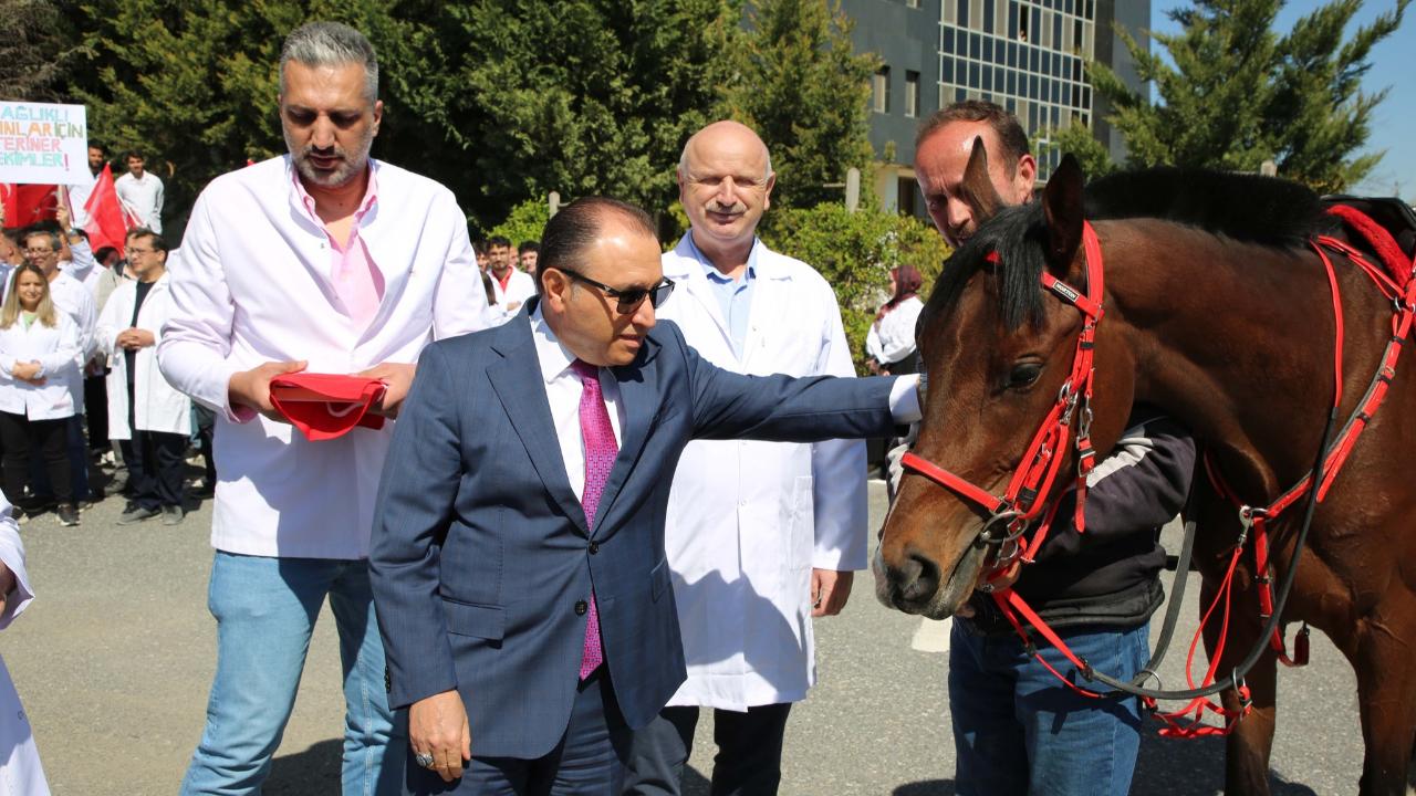 AKÜ’de Dünya Veteriner Hekimler Günü Coşkuyla Kutlandı