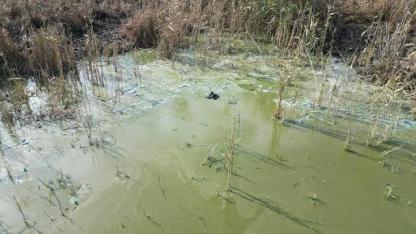 Eber Gölü İçin Hazırlanan AB Projesi Onay Alamadı