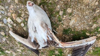 Gebeceler Barajı’nda Çöp ve Altyapı Tepkisi: “Doğal Alan Korumaya Alınmalı”