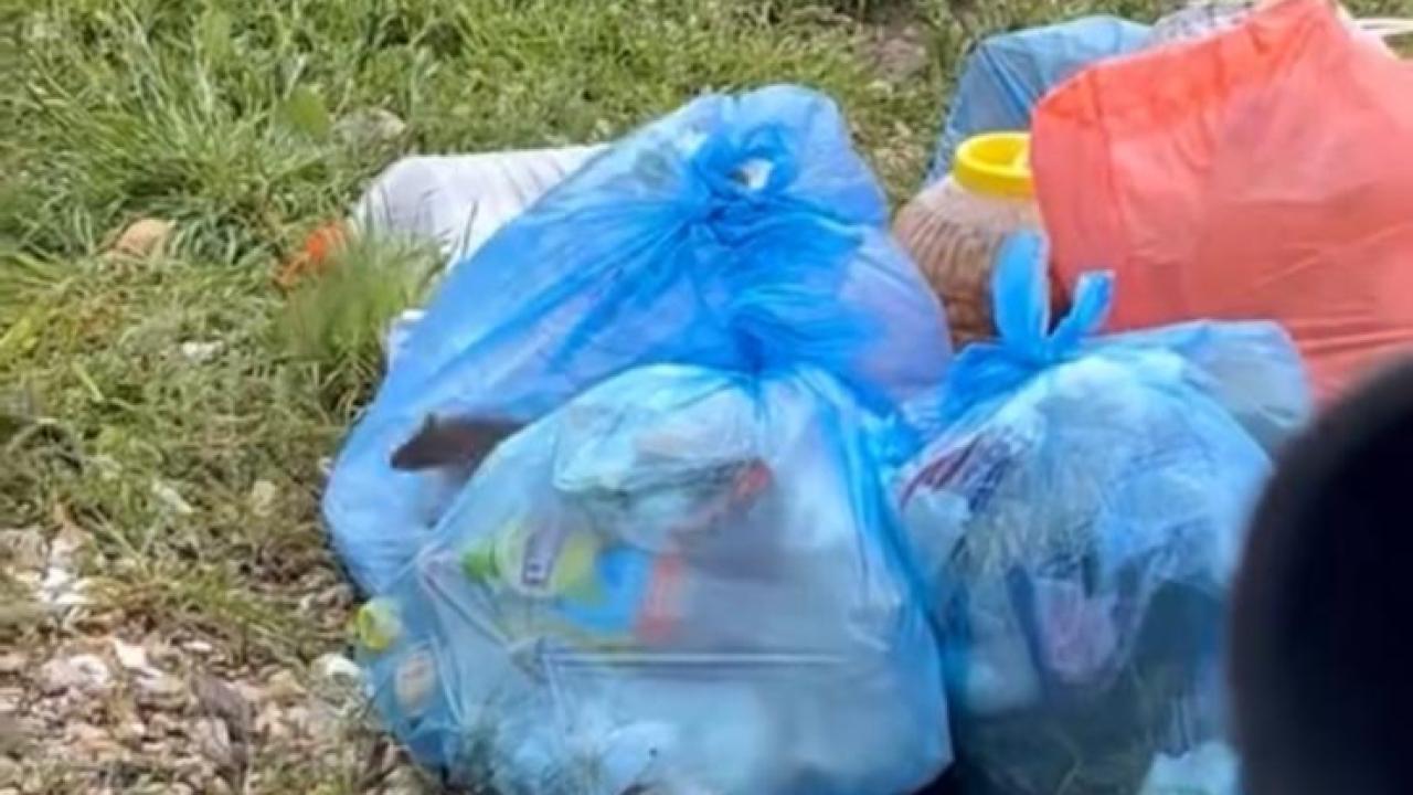 Afyon’da Güneş Hatun Caddesi’ni Fareler İstila Etti